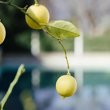 فندق Garni Sirmian 3*