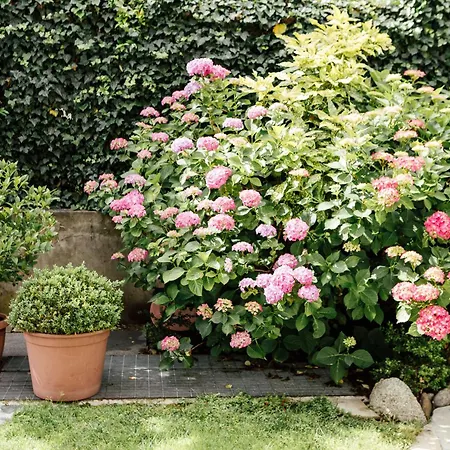 Garni Sirmian ميرانو