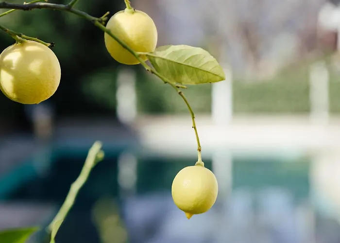 Hotel Garni Sirmian 3*